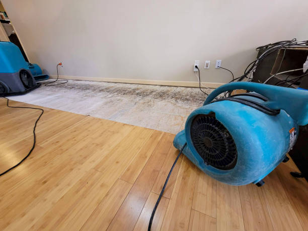 Professional Basement Flood Cleanup technician working in Harbor City, CA